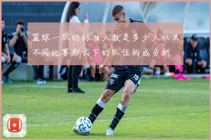 篮球一队的标准人数是多少人以及不同比赛形式下的队伍构成分析