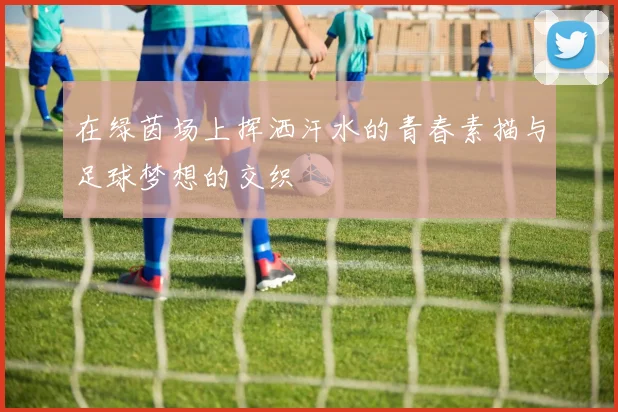 在绿茵场上挥洒汗水的青春素描与足球梦想的交织