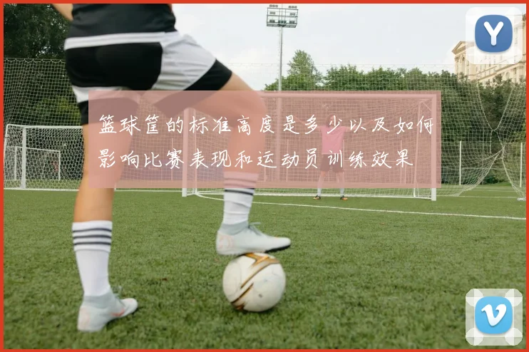 篮球筐的标准高度是多少以及如何影响比赛表现和运动员训练效果