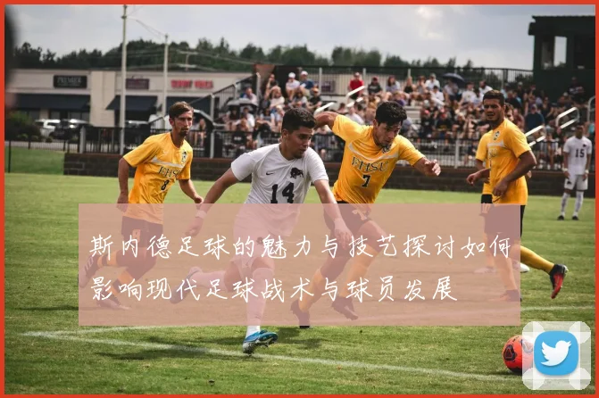 斯内德足球的魅力与技艺探讨如何影响现代足球战术与球员发展