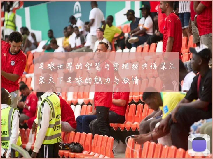 足球世界的智慧与哲理经典语录汇聚天下足球的魅力与激情